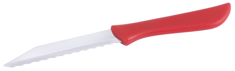 Küchenmesser mit rotem Griff - Klingenlänge 8,5 cm - Länge 17,5 cm
